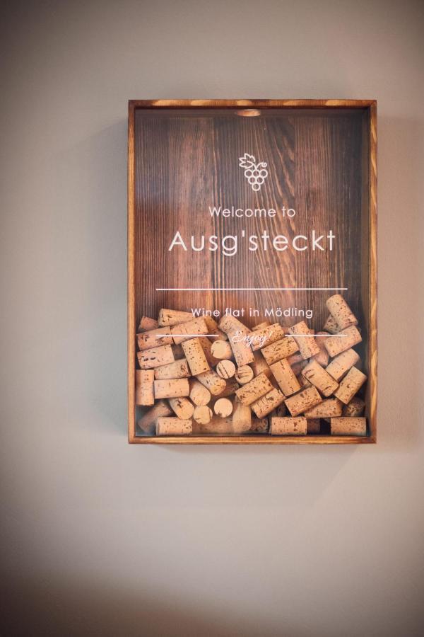 Ausg'Steckt - Wine Flat Modling - Great Location Apartamento Exterior foto